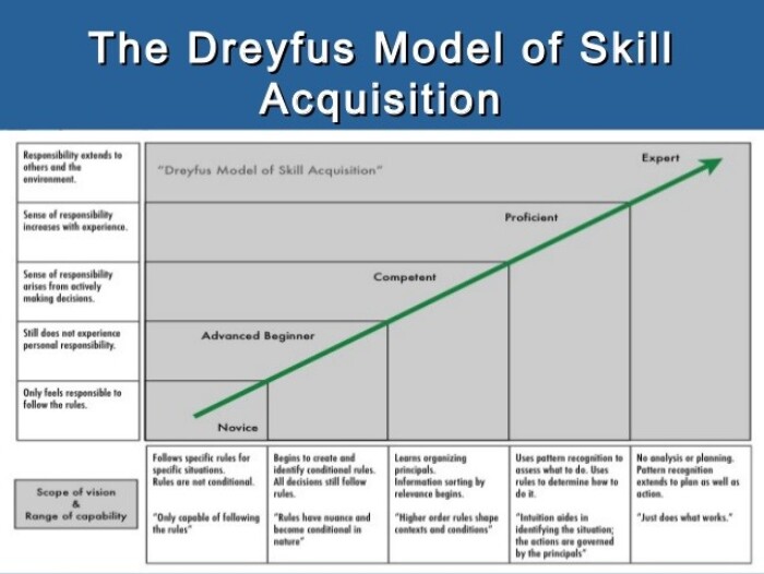 Dreyfus Model